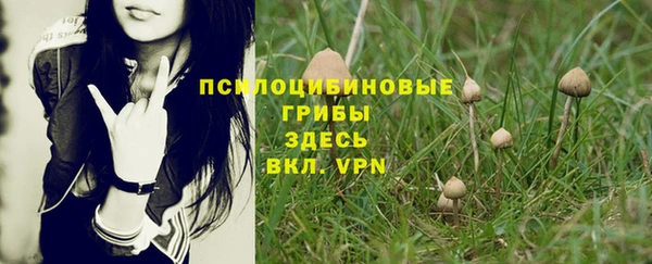 Альфа ПВП Лагань