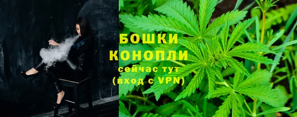 Альфа ПВП Лагань