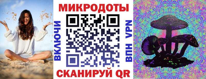 Галлюциногенные грибы Cubensis продажа наркотиков Щигры